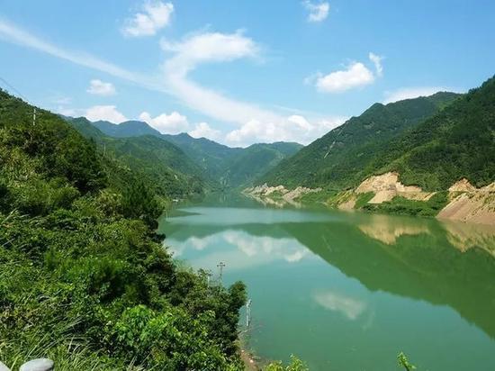 向上跳的香蕉