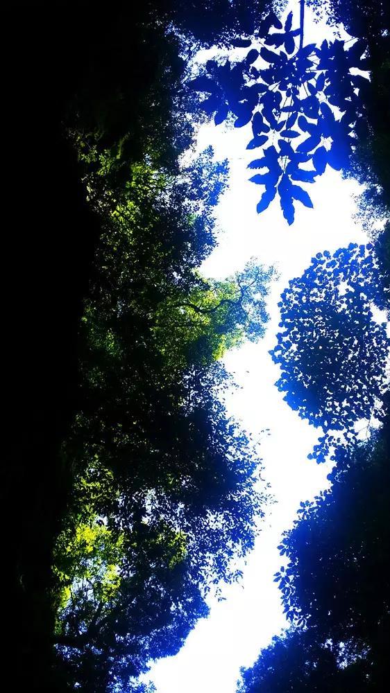 山东省淄川区发布大雾黄色预警