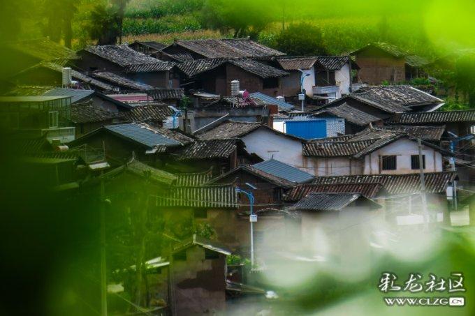 怎么做鸡蛋羹啊？游戏画面