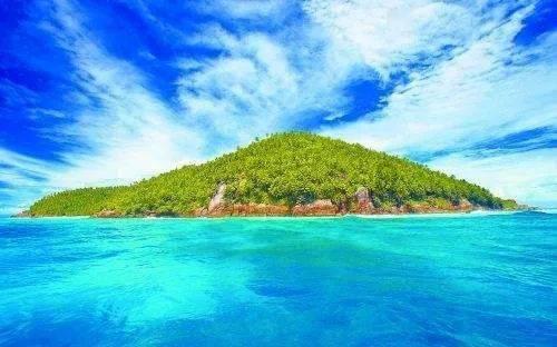 梦幻西游手游